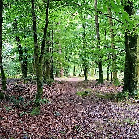 Deerbrook House Bed & Breakfast 4*