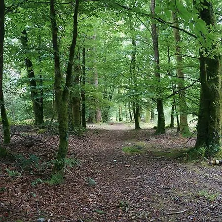 Deerbrook House 4*