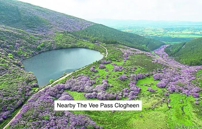 Deerbrook House B&B 케이어