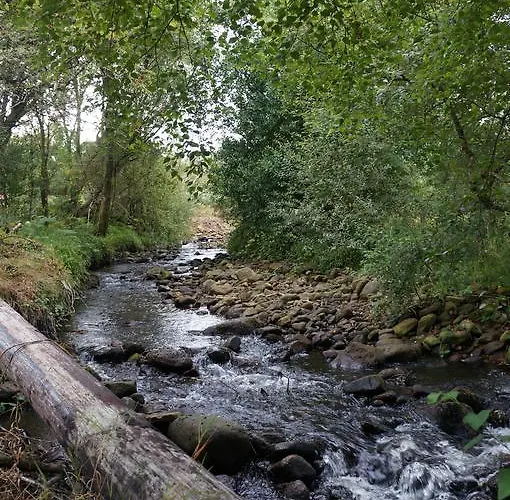 Deerbrook House B&B 4*